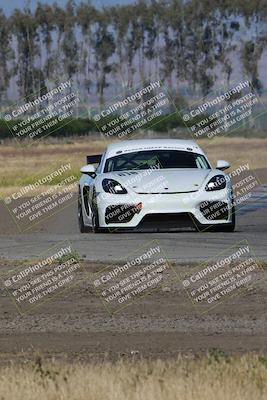 media/May-03-2024-PCA Central Coast (Fri) [[eaa7da0ee1]]/Red Group/Session 1 (Grapevine)/